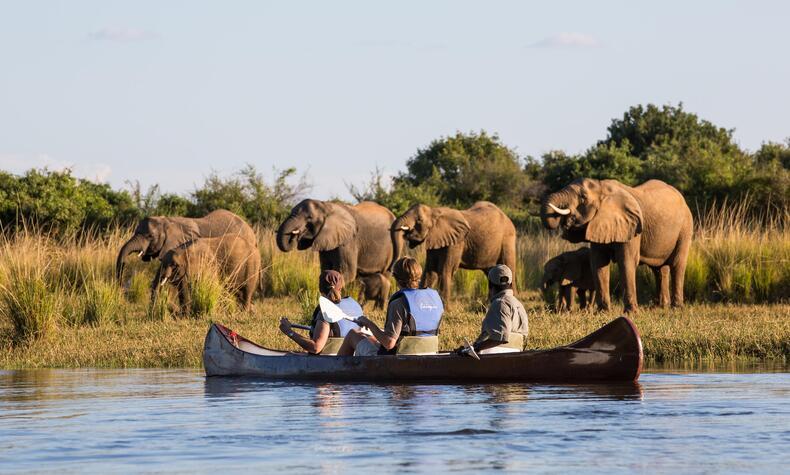 豪華な世界一周旅行のプライベートジェット。