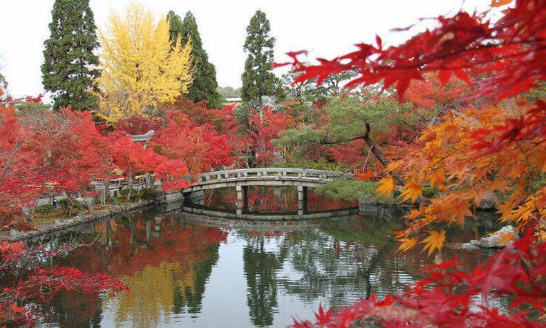 秋の自然を楽しむ旅