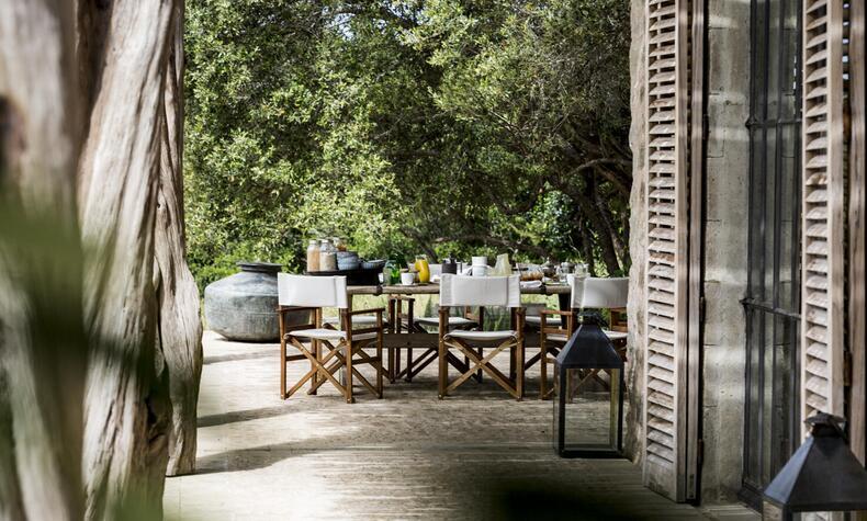 野生のサファリの夢有路樹