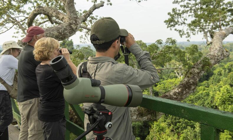 ファウナ・ナポ