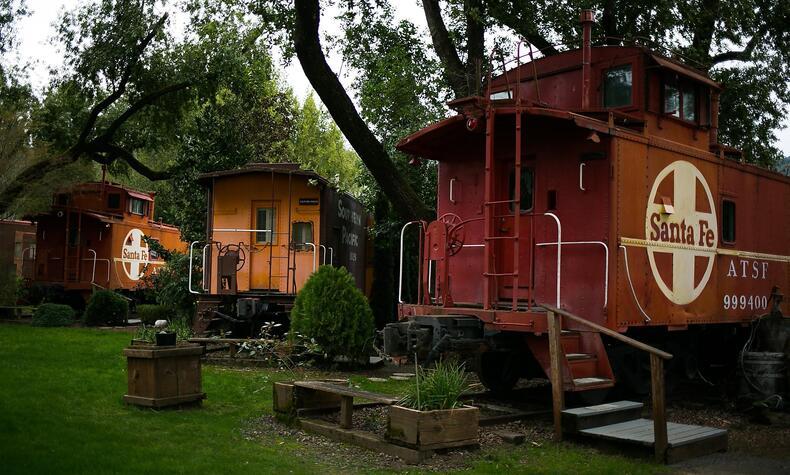 写真メイソン・トリンカ