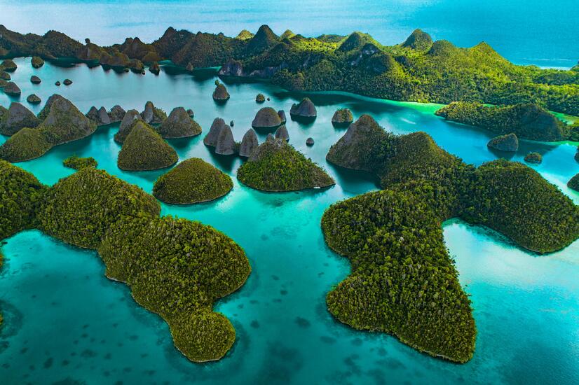 自然の楽園、花の海とその島々。 花の海 贅沢な旅 モヨアイランド