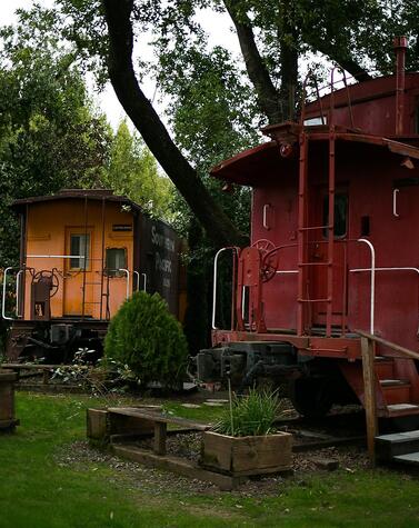 写真メイソン・トリンカ