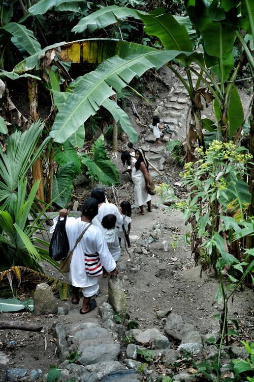 遠隔旅行 コロンビアの民族 コグイの道