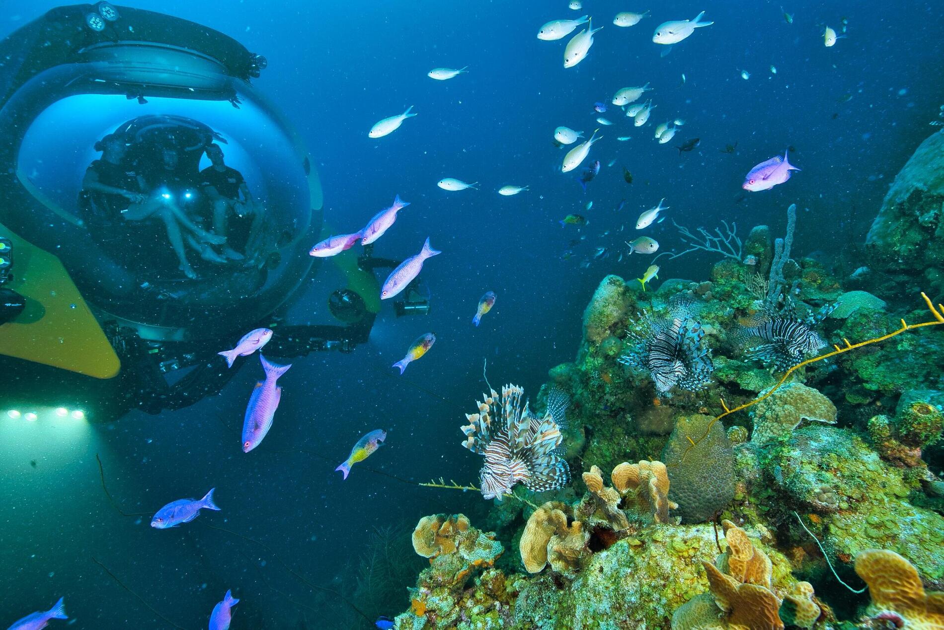 U-Boat Worxのような企業は、すでに様々な用途の自律型潜水艇を製造しています。写真:U-Boat Worx U-Boat Worxのような企業は、すでに様々な用途の自律型潜水艇を製造しています。写真:U-Boat Worx