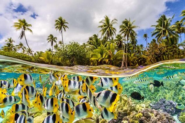 ロマンチックでラグジュアリーな旅の離島、フレンチポリネシア。