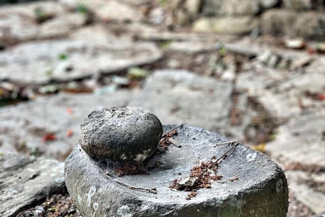 遠隔旅行 コロンビアの民族 コグイの道