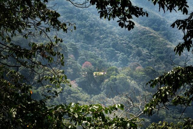 遠隔旅行 コロンビアの民族 コグイの道