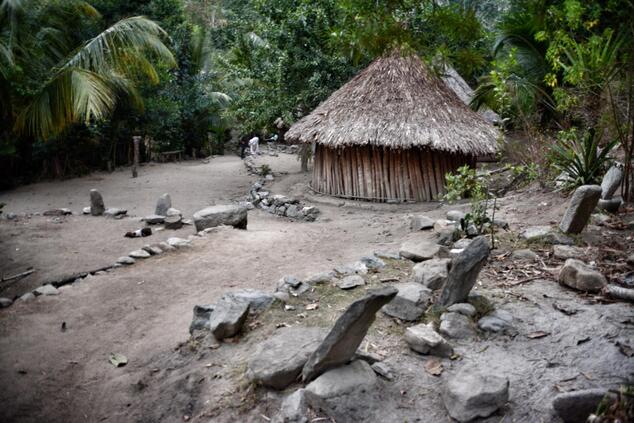遠隔旅行 コロンビアの民族 コグイの道