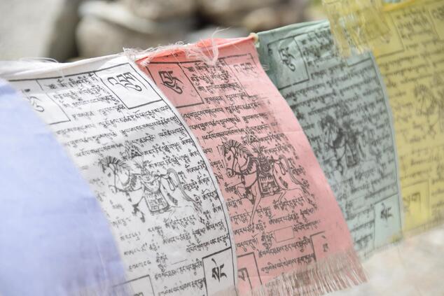 ラダック・インド・ヘミス僧院への贅沢な旅。