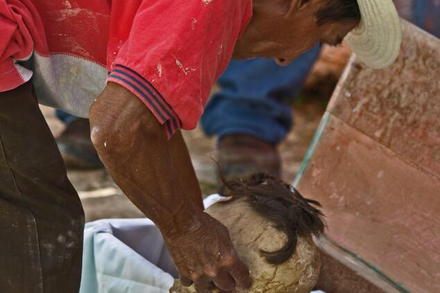 メキシコ死者の日ポムチの旅