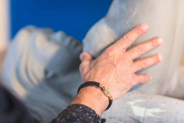 ロレンツォ・クインのジュエリー