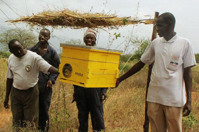 ケニアで始まったこの取り組みは、現在ではアフリカ13カ国とアジア3カ国に広がっています。写真:Elephants&Bees ゾウとミツバチ・プロジェクト・アフリカ