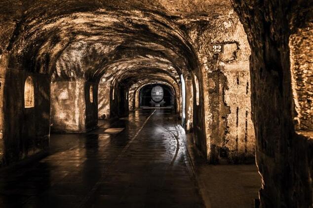 モエ・シャンドン エペルネ ワイナリー