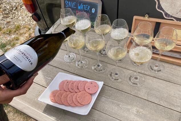 ピクニック・イン・ザ・ヴィンヤード ビスケット・ローズ・フォッシエ