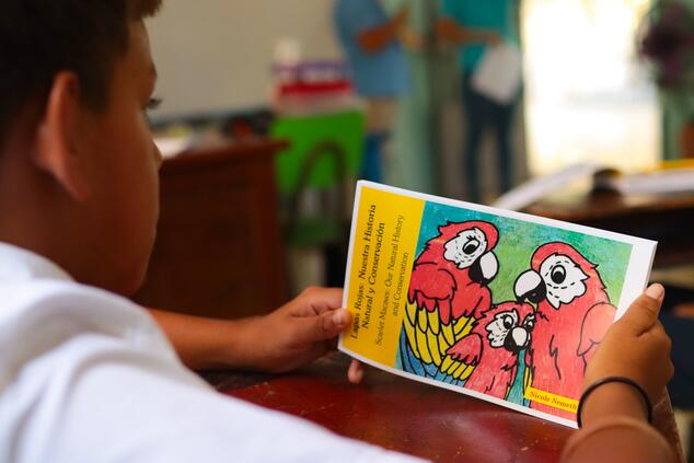 学校での環境教育に関する書籍