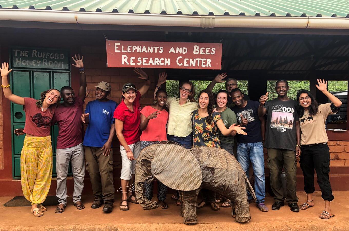 ゾウとミツバチ・プロジェクト