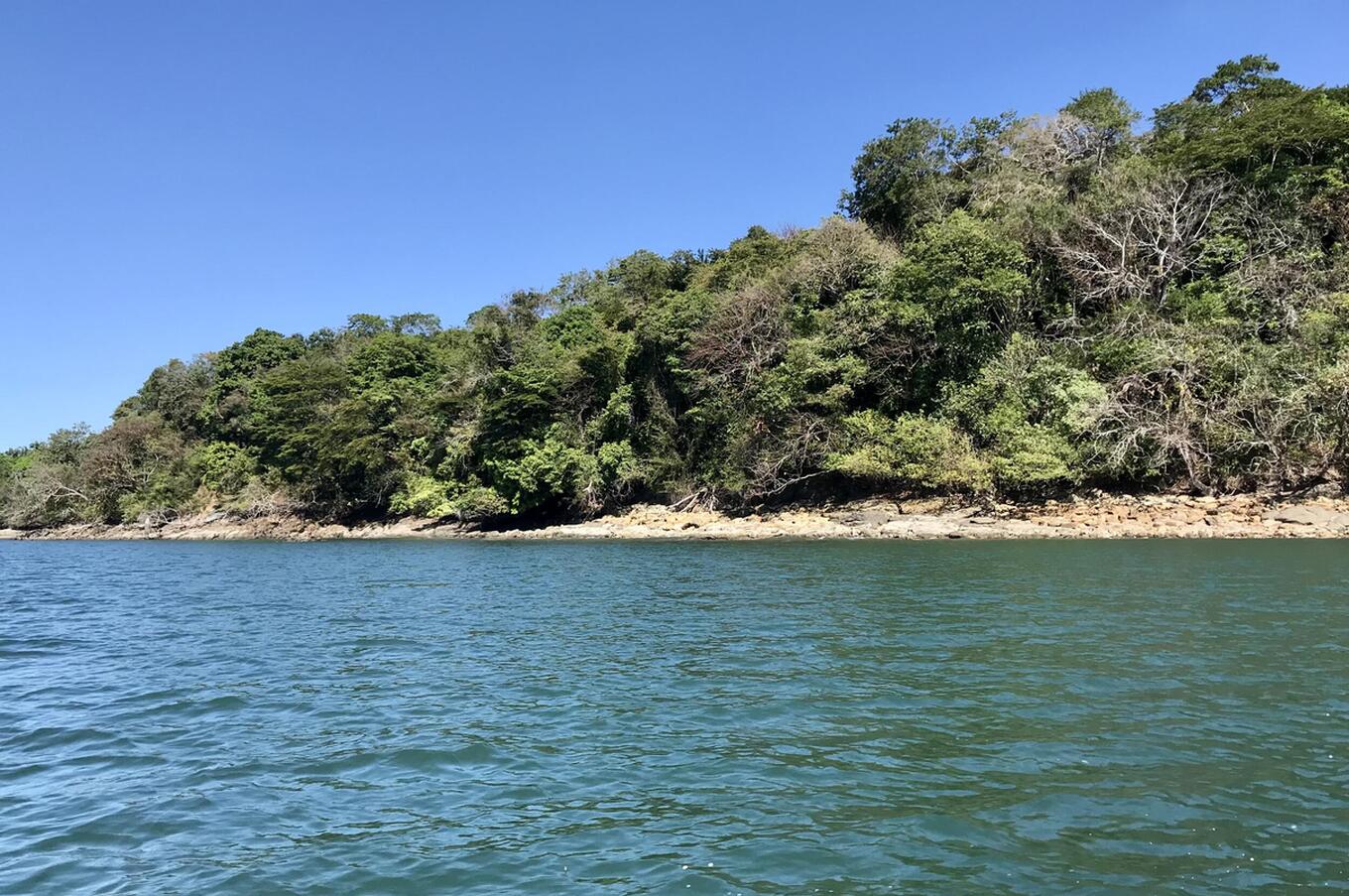 パナマ・パレンケ島