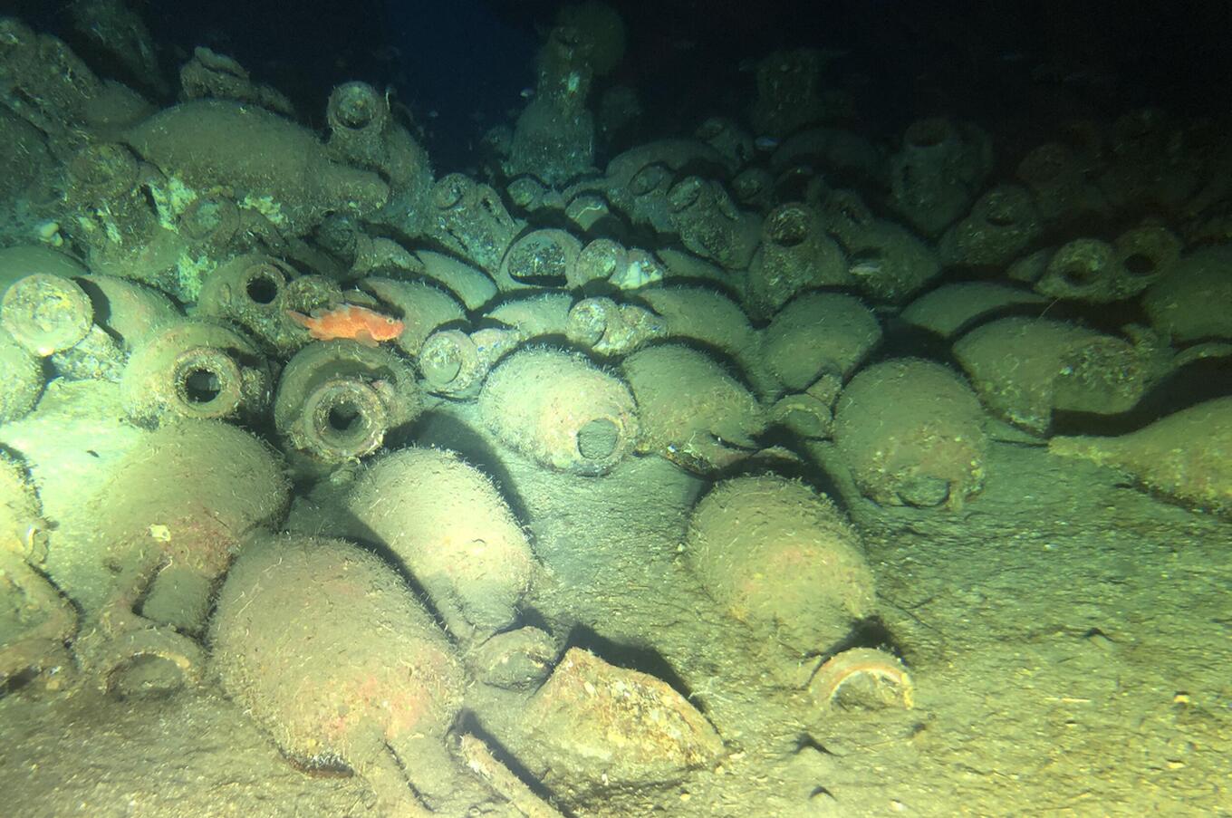 潜水艇 ディープシー オーファー・ケッター イタリア