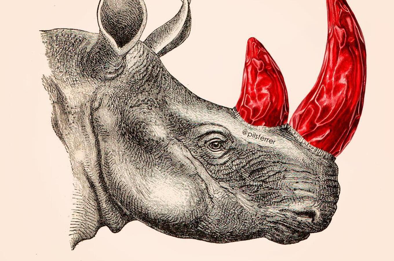 ピルファーラー・イラストレーター・コラージュ