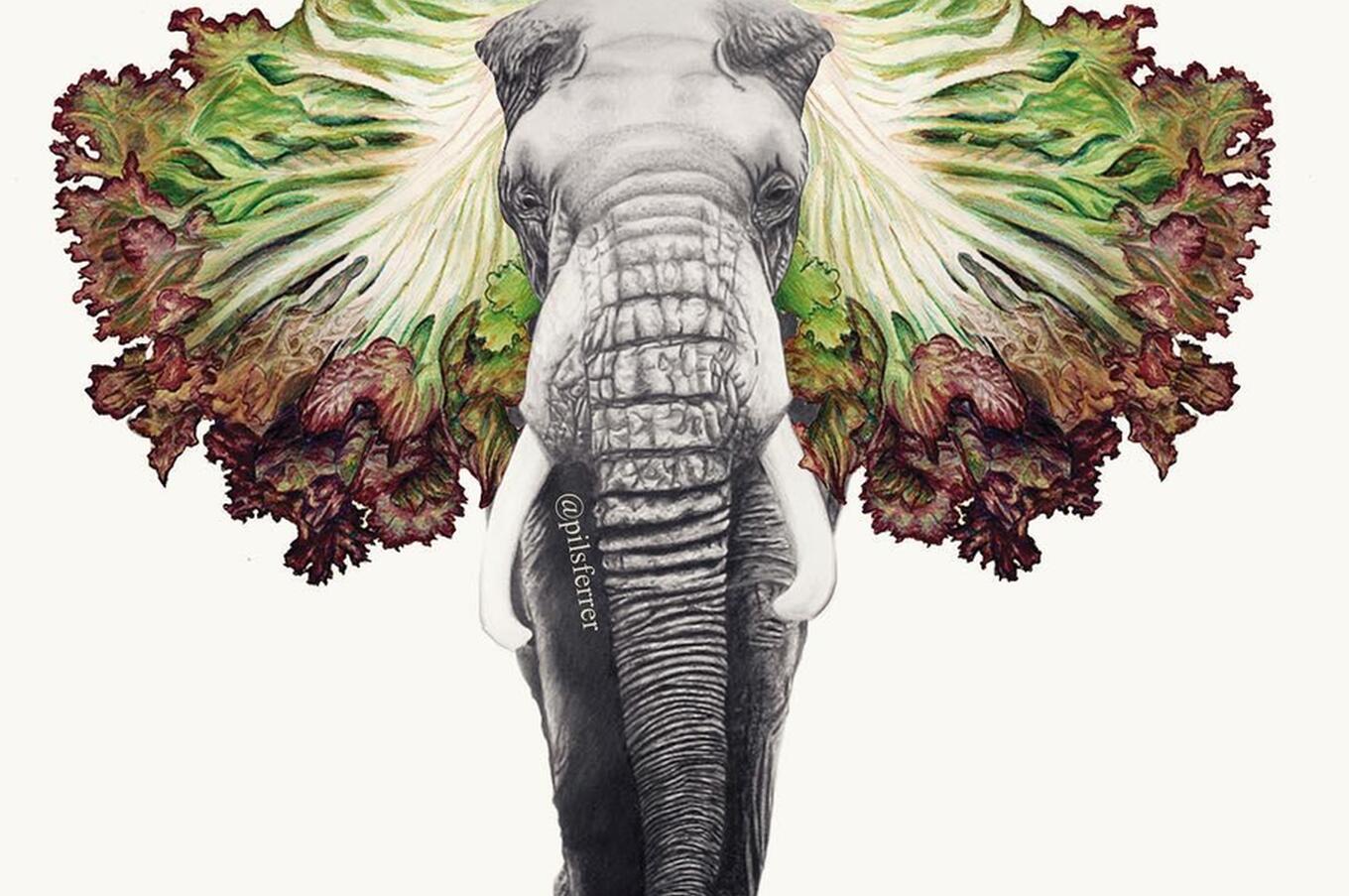 ピルファーラー・イラストレーター・コラージュ