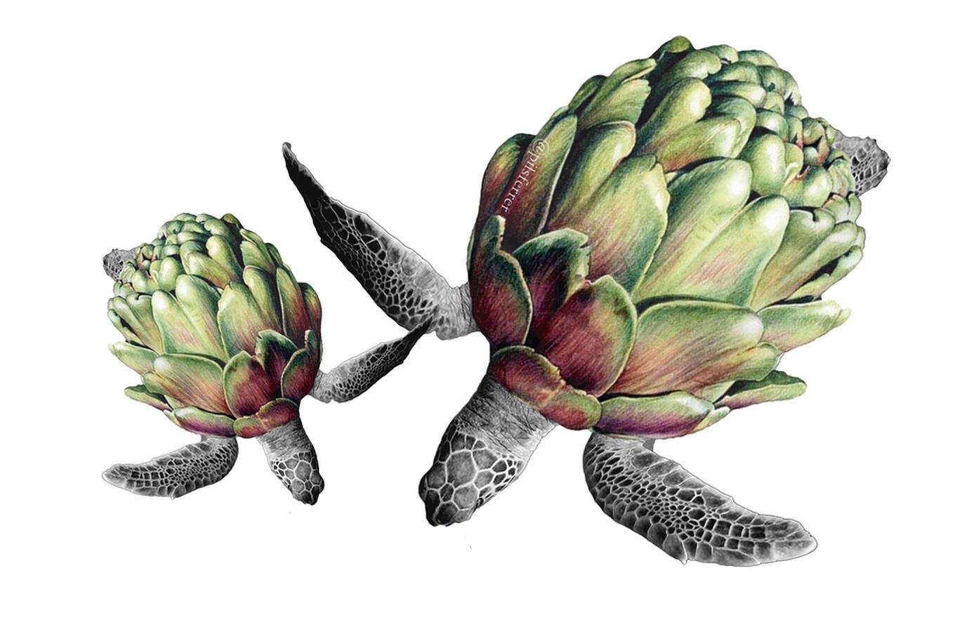 ピルスフェラー・コラージュ・トルチョーファ