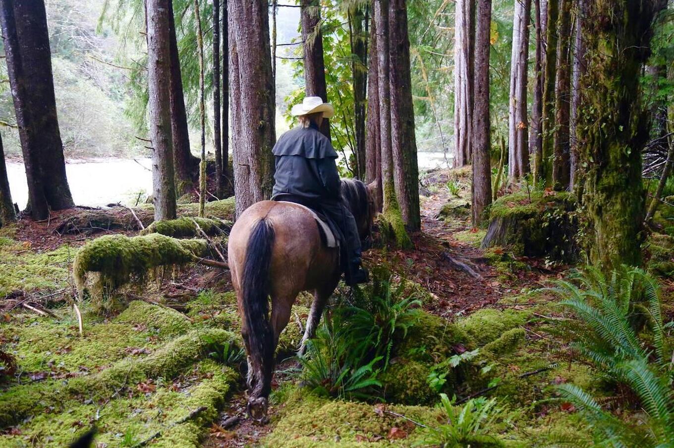 乗馬は、カナダの自然や息をのむような森と触れ合う、ユニークな体験です。 カナダの秋