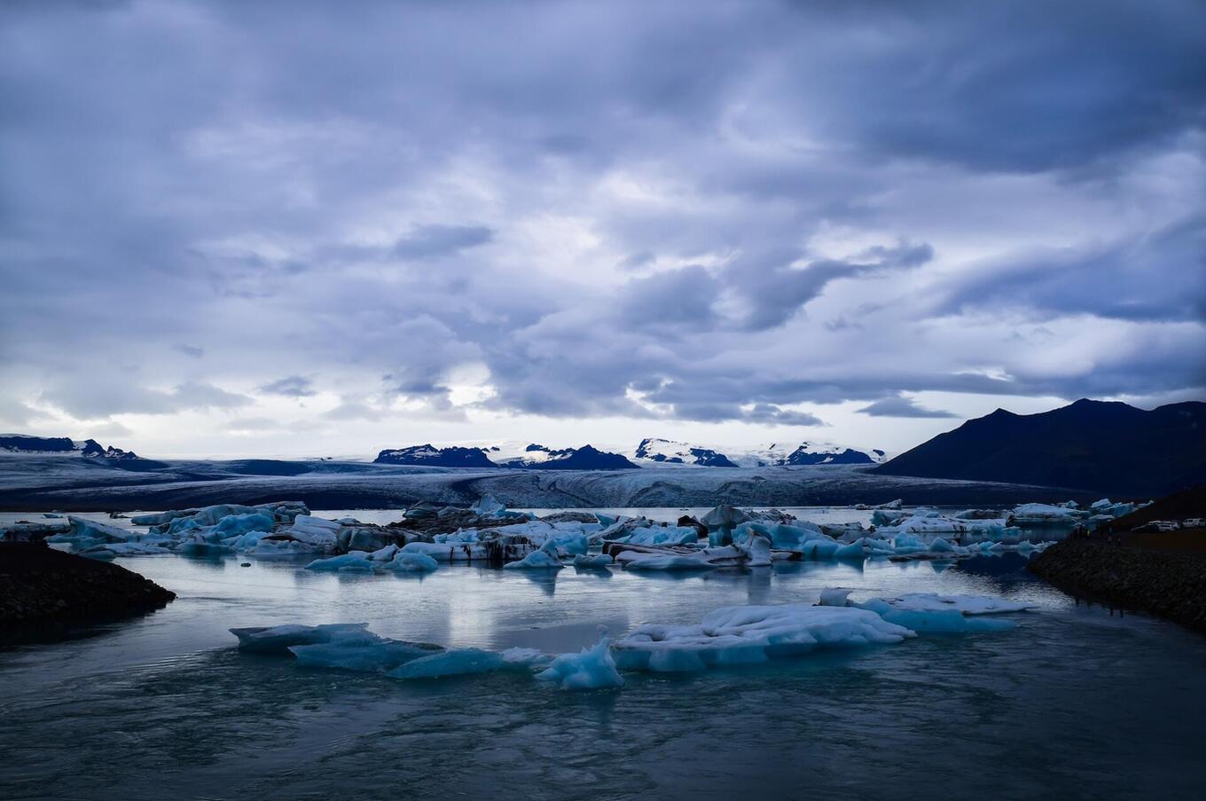 写真はロスティスラフ・サヴチン。