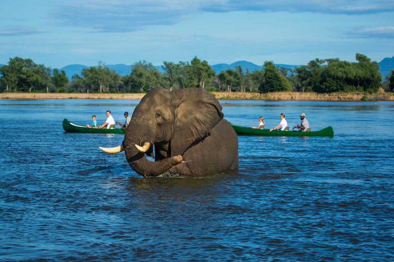 テンボ・プレインズ・キャンプ