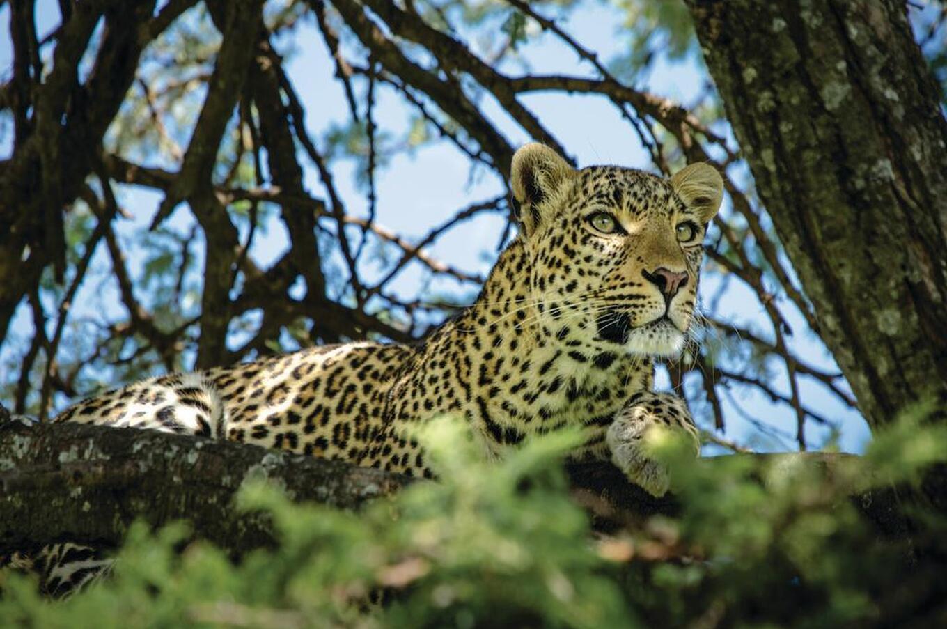 マラ・プレインズ・キャンプ