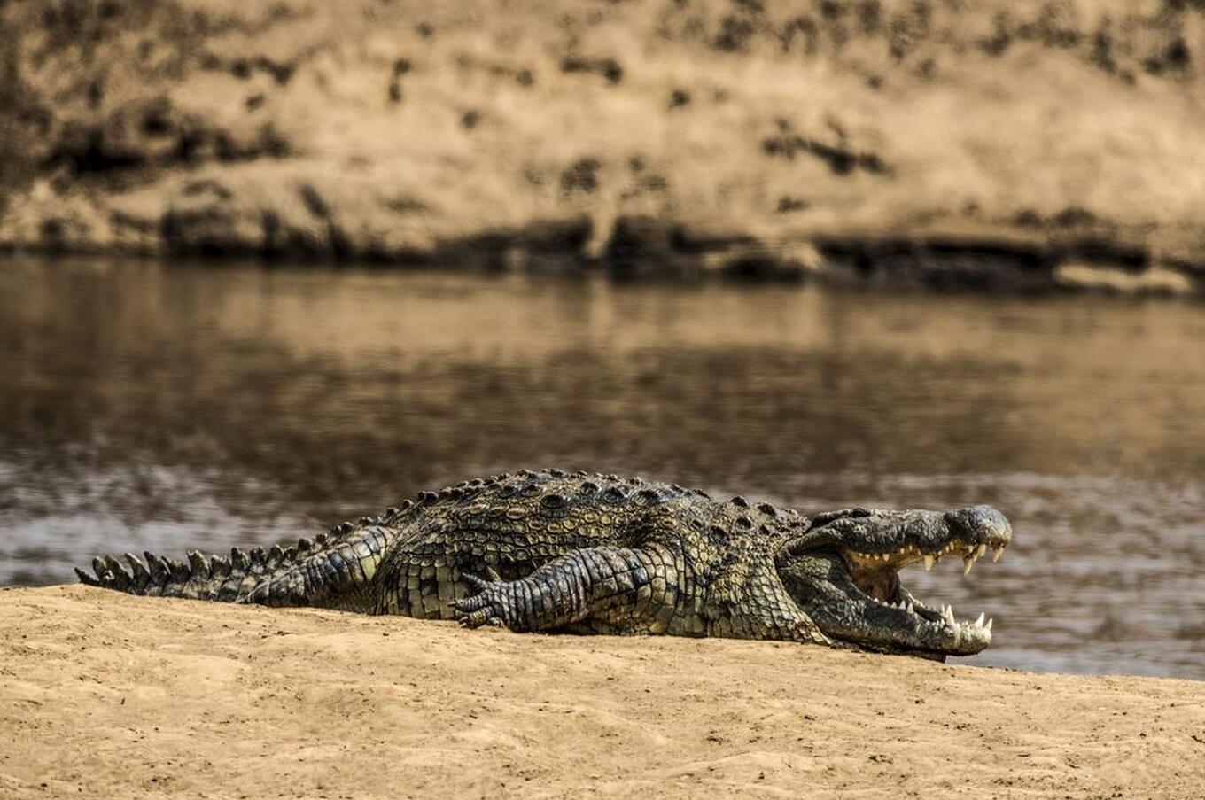 マラ・プレインズ・キャンプ