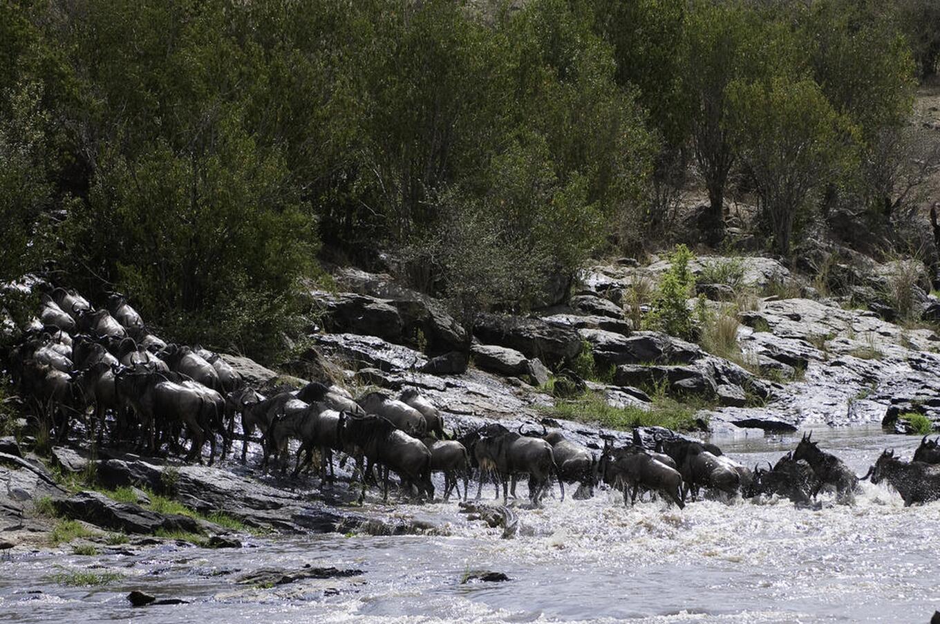 マラ・プレインズ・キャンプ