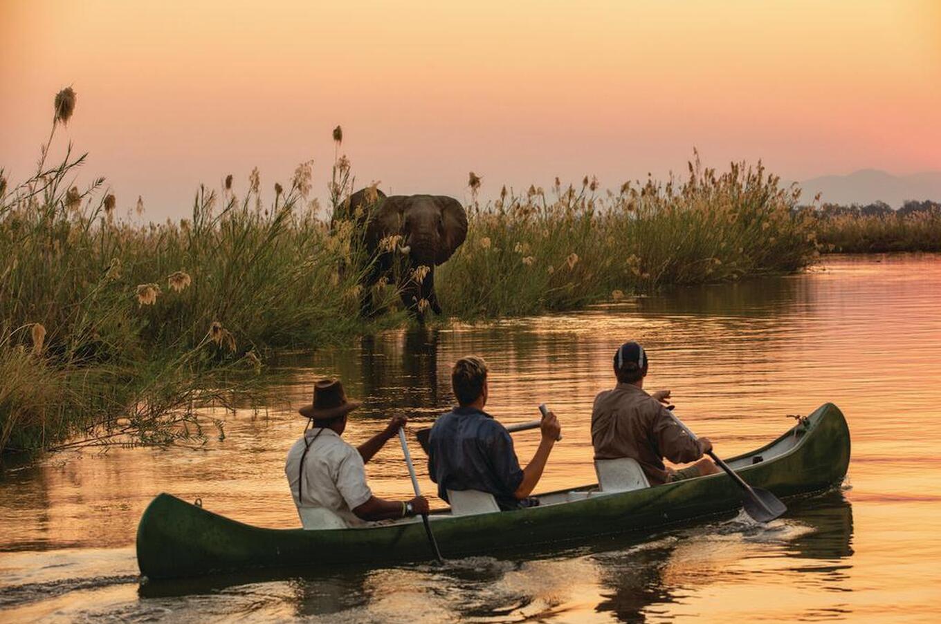 テンボ・プレインズ・キャンプ