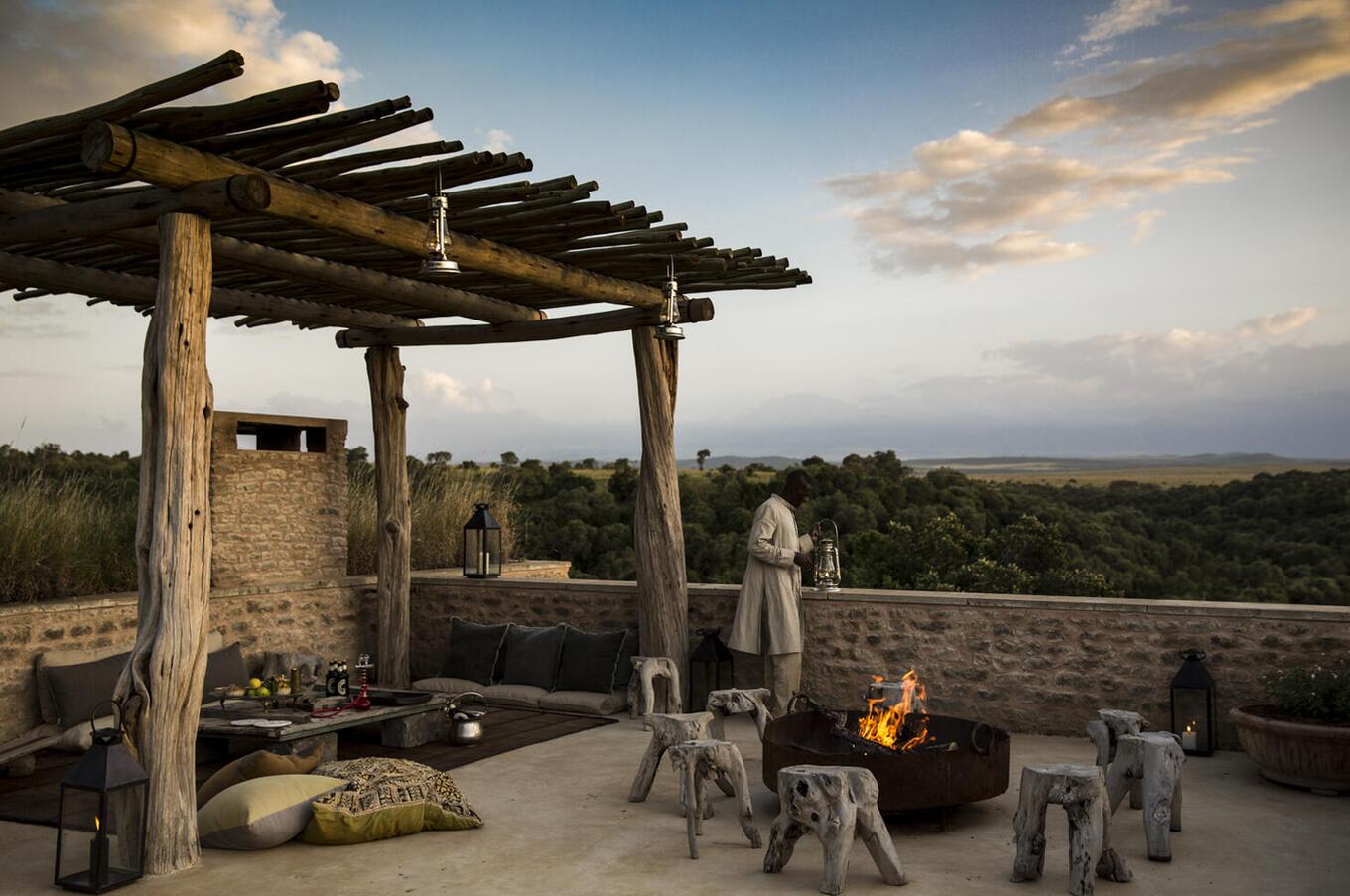 写真は有路樹：クルックス＆ジャクソン