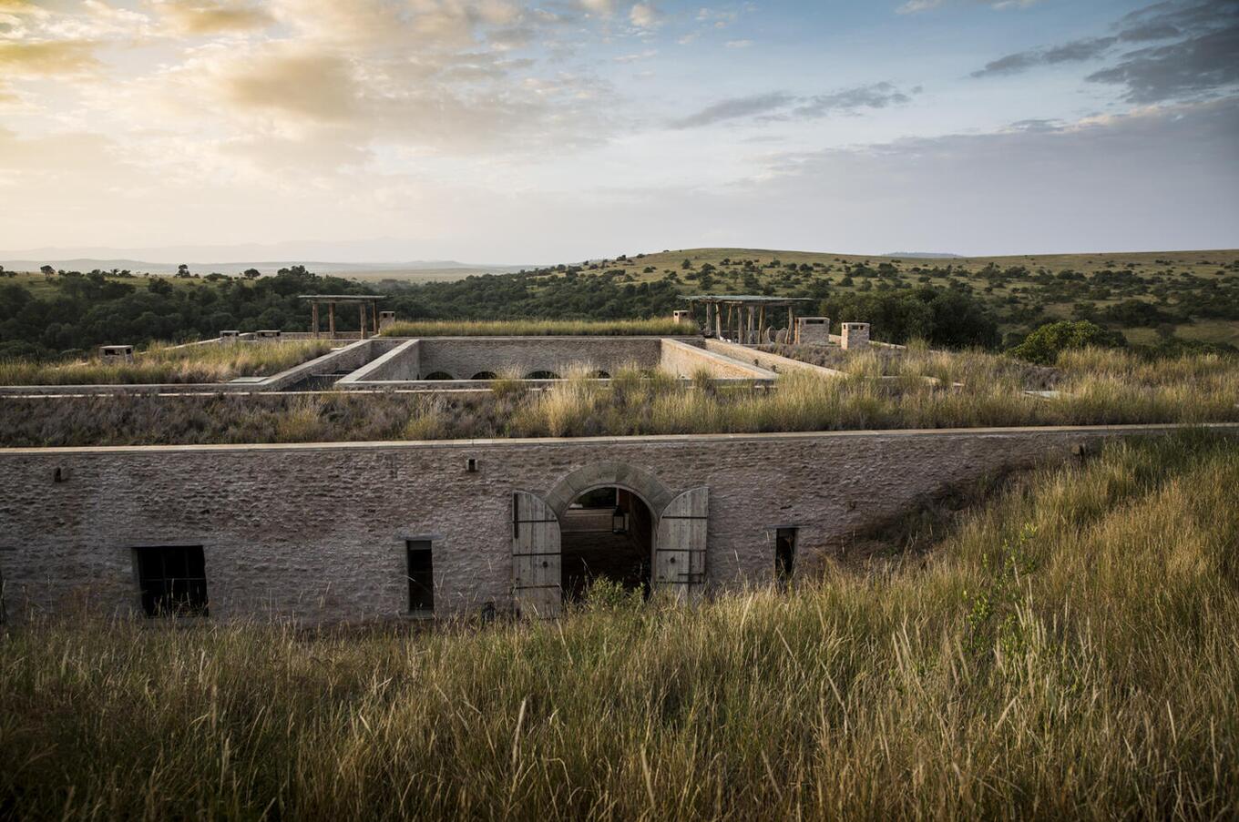 写真は有路樹：クルックス＆ジャクソン