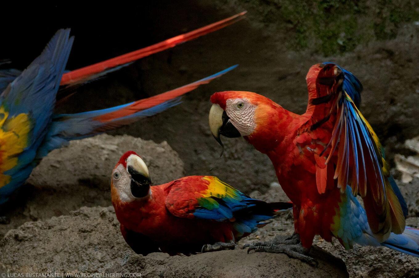 ナポ野生生物センターで自然を生きる