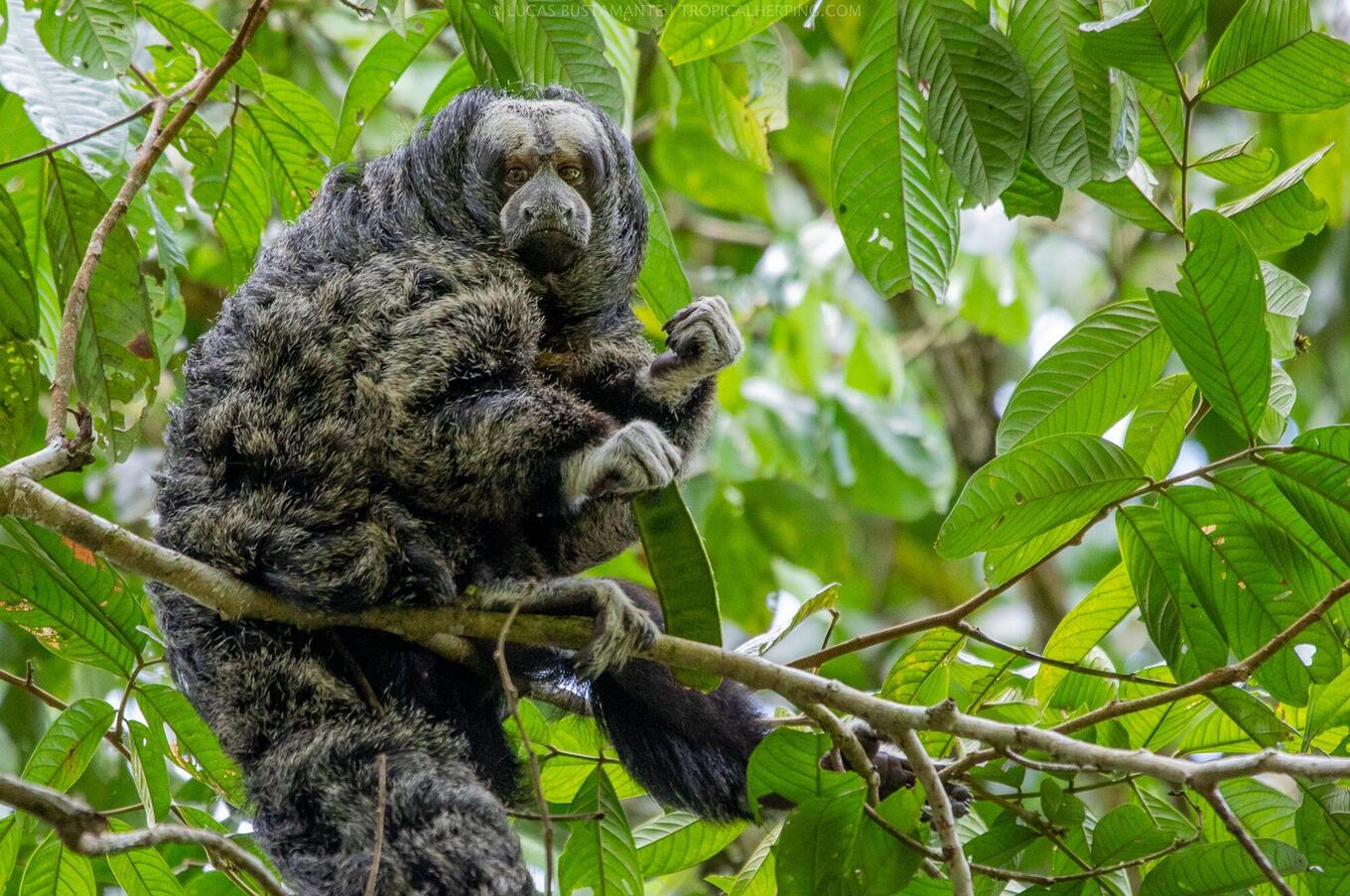 ナポ野生生物センターの自然