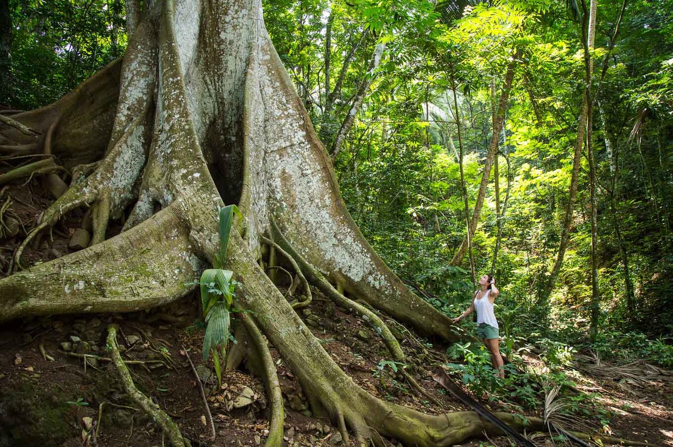 600年前に発見されたときと同じように、自然は感動を与え続けている。写真：スコット・ラムジー