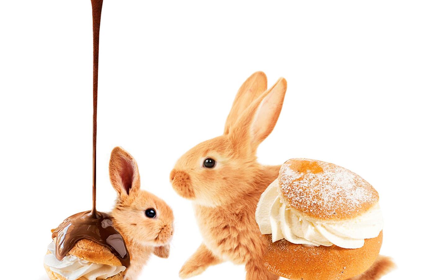 ピルスフェラー イラストレーター コラージュ