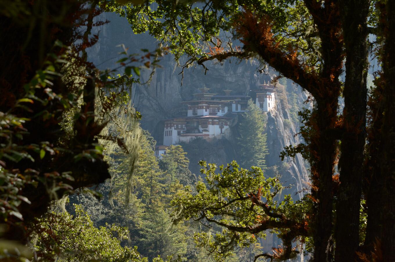 ビューポイントからは、修道院が崖の上に見え、山の風景に完璧に溶け込み、静寂に包まれている。タイガーズ・ネスト