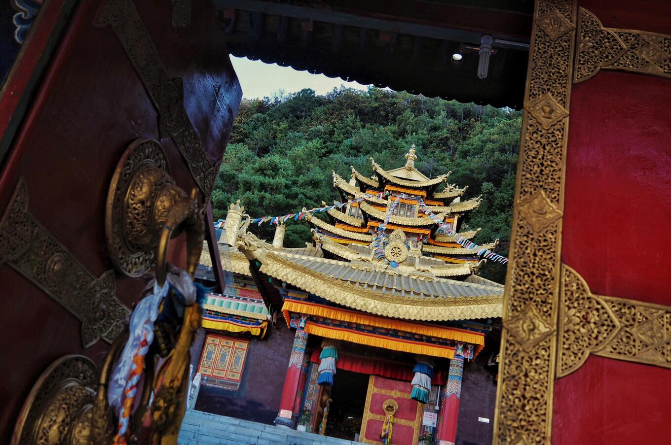 中国・茶の道・雲南・チベット