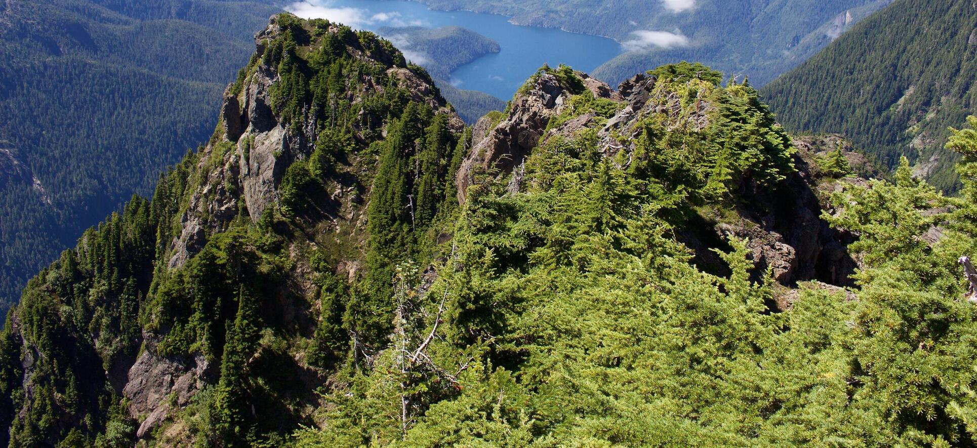 旅行 ラグジュアリーな人里離れた自然 カナダのブリティッシュコロンビア州