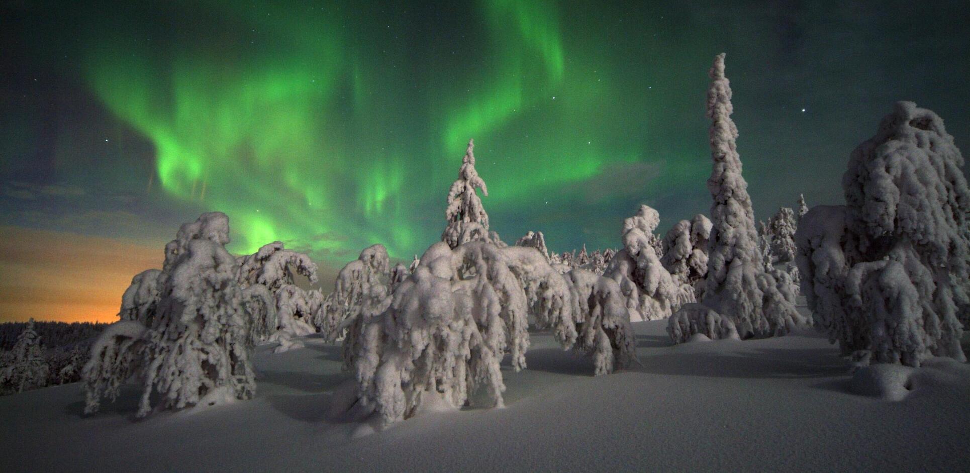 トラベル ラグジュアリー体験 オーロラ ラップランド