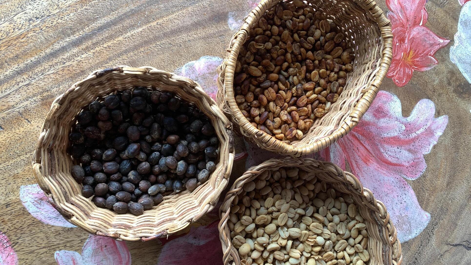 コーヒー産地への旅 コロンビア・キンディオ