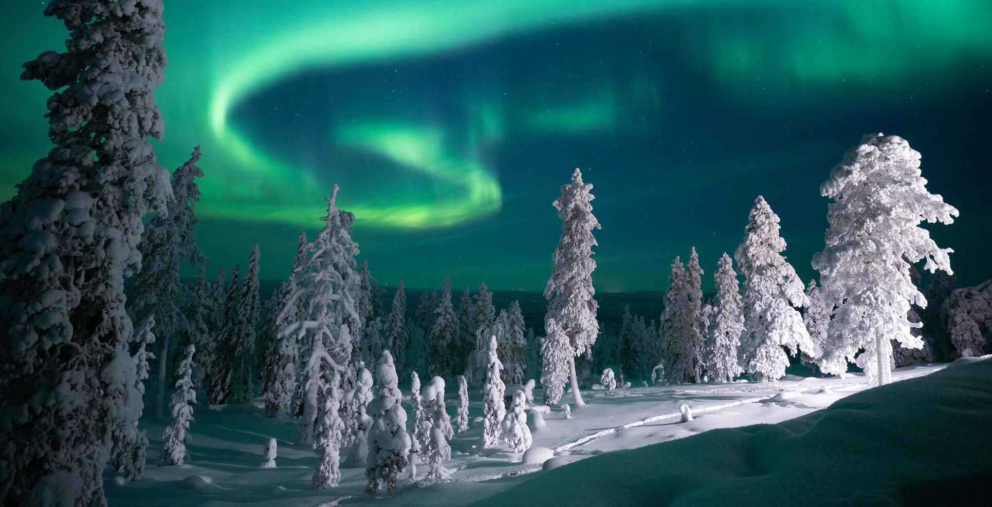 オーロラ・ラグジュアリー・トリップ