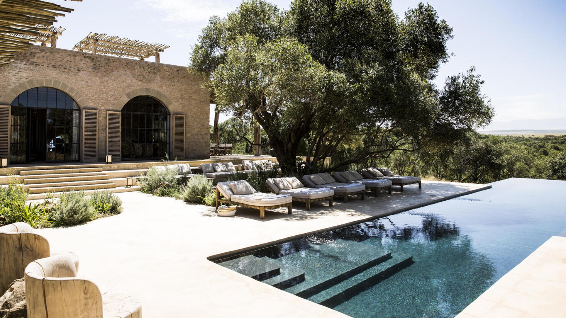 野生のサファリの夢有路樹