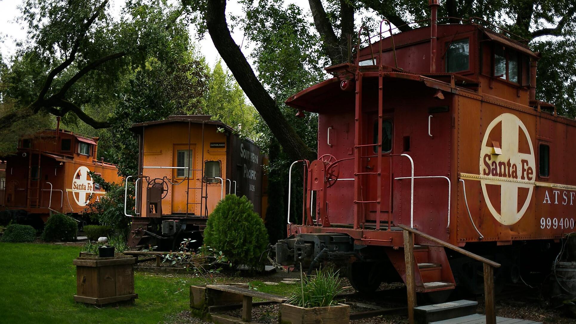 写真メイソン・トリンカ
