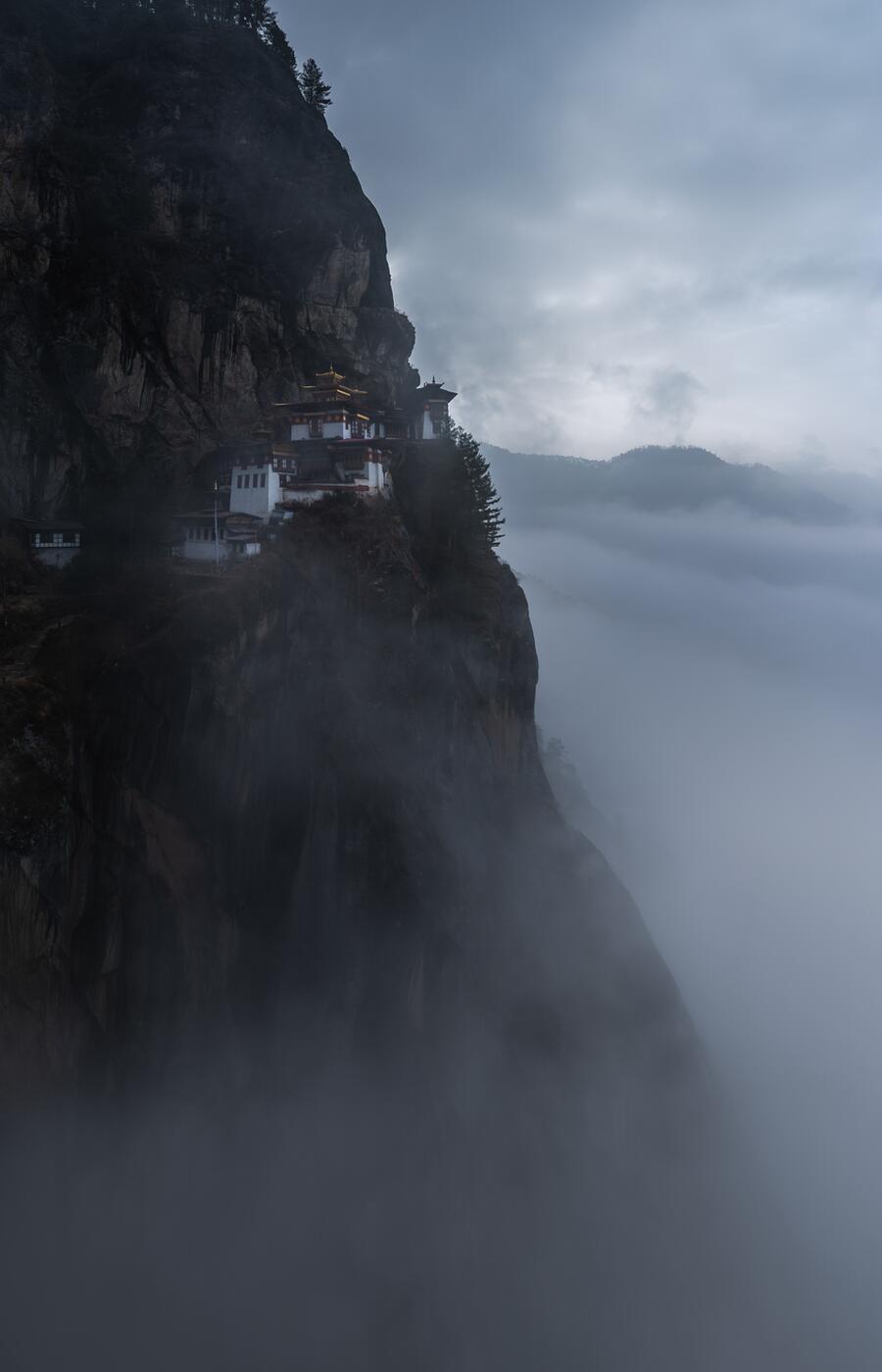 虎の巣